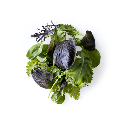 Picture of NORDICAMIX 4X500G